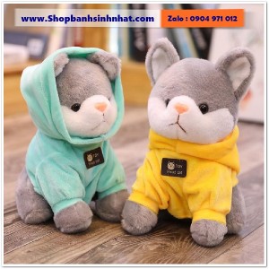 Gấu Bông Teddy Hàn Quốc - GAU52